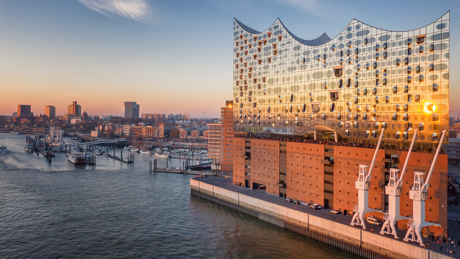 Pacura doc Niederlassung Hamburg